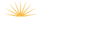 Brandon Transit Logo